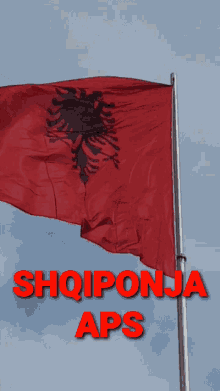 flamuri flag artist diaspora bandiera flamuri flag artist diaspora bandiera