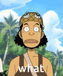usopp one piece one piece usopp what one piece confused