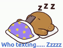 sleepy sleepy bear fall asleep looking at phone texting