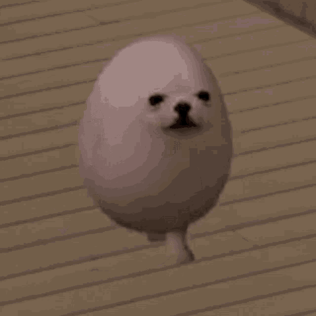 Eggdog Gif Eggdog Discover Share Gifs Eggdog Gif Eggdog Discover Share Gifs