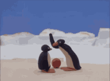 Pingu Penguin GIF - Pingu Penguin No No No GIFs