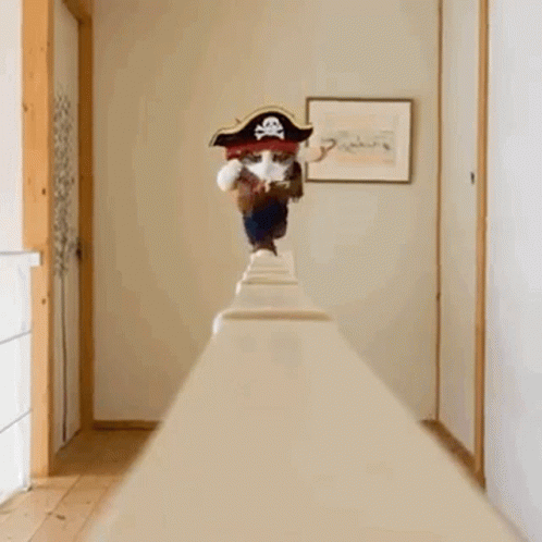 Jack Sparrow Cat Kitty GIF - Jack Sparrow Cat Kitty Pirate - Descubre &  Comparte GIFs