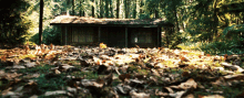Cabin In The Woods GIF - Cabin In The Woods GIFs