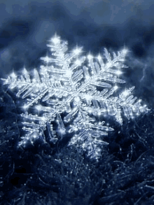 Snowflake Snowing GIF - Snowflake Snow Snowing GIFs
