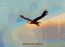 Flying Eagle GIF - Flying Eagle Bird GIFs