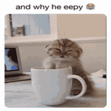 Eepy And Why He Eepy GIF - Eepy And Why He Eepy Laughing Crying Emoji GIFs