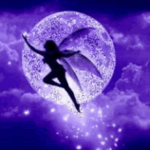 wings sparkle
