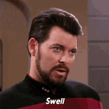Swell William Riker GIF - Swell William Riker Star Trek GIFs