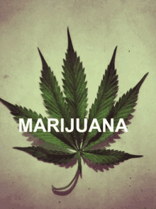 Weed Mj GIF - Weed Mj Marijuana GIFs