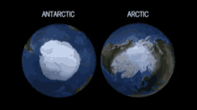 Antartica GIF - Antartica Artic GIFs