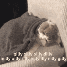 Good Morning Gilly Oilly Oilly Dilly GIF - Good Morning Gilly Oilly Oilly Dilly Milly Oilly Rilly Nilly Illy Nilly Gilly GIFs