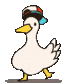 Duck Ducky Sticker - Duck Ducky Duck Vibe Stickers