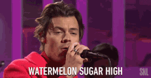 Watermelon Sugar High Sing GIF - Watermelon Sugar High High Sing GIFs