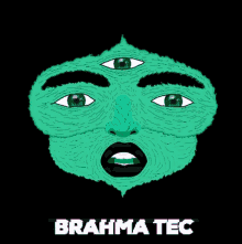 Brahma Brahmatec GIF - Brahma Brahmatec Brah GIFs