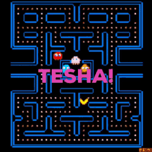 Pacman Tesha GIF - Pacman Tesha Video Games GIFs