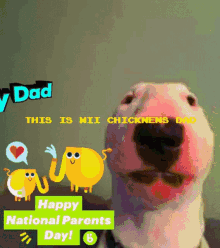 dad chickens