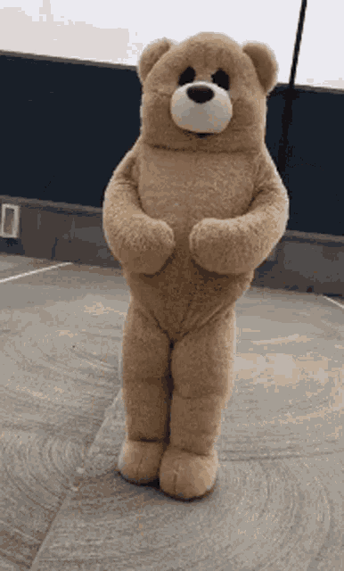 Teddy Bear GIF - Teddy Bear Teddybear GIFs