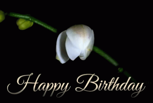 Happy Birthday Blooming Gif Happy Birthday Blooming Orchid Discover Share Gifs