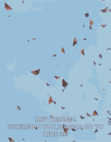 butterflies migration