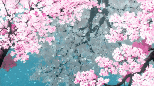 Viewing profile - Rhiannon Aerendyl Cherry-blossoms-petals