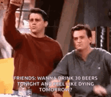 Friends Drinking GIF - Friends Drinking Beer GIFs