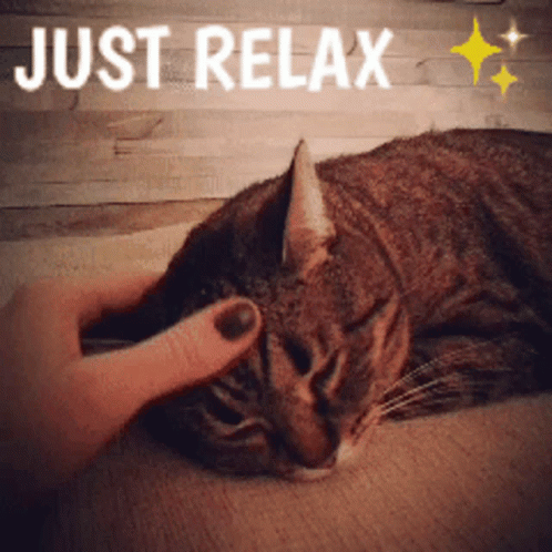 Relax Relaxing GIF - Relax Relaxing Chill GIFs