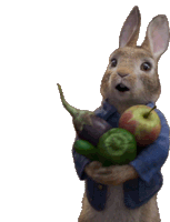 Shocked Peter Rabbit Sticker - Shocked Peter Rabbit Peter Rabbit2 Stickers