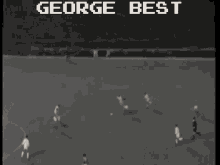 George Best Manchester United GIF - George Best Manchester United Man United GIFs