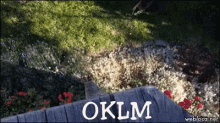 Escalade Oklm GIF - Oklm Aucalme Chat GIFs