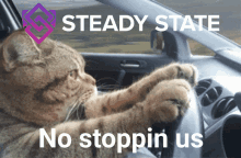 Steady State Steadystatefinance GIF - Steady State Steadystatefinance Stdy Coin GIFs