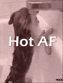 Hot Af Heatwave GIF - Hot Af Heatwave Too Hot GIFs