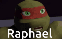 raphael ninja