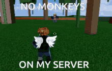 no monkeys no monkey no monkey on my server blox fruits blox fruit