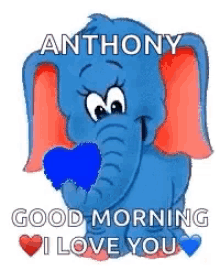 Good Morning Anthony Jollyzinho GIF - Good Morning Anthony Jollyzinho Elephant GIFs