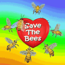 Save The Bees Save The Planet GIF - Save The Bees Save The Planet Save Humans GIFs
