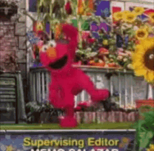 Elmo Elmos World GIF - Elmo Elmos World I Like Pi3 GIFs