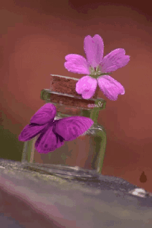 Flowers Butterfly GIF - Flowers Butterfly Purple GIFs