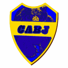 bocajuniors futbol