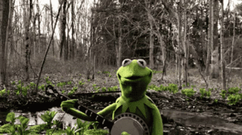 Kermit Band GIF – Kermit Band Music GIFs