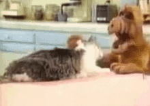 Cat Alf GIF - Cat Alf Smell GIFs