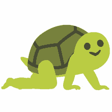 turtle baby