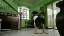 Martial Arts Yoga GIF - Martial Arts Yoga Loss Of Balance GIFs