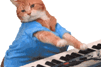 Cat Cat Love Sticker - Cat Cat Love Piano Stickers