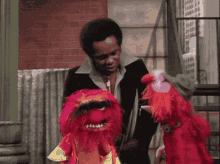muppets muppet