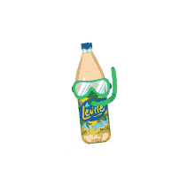 levit%C3%A9 frescura juice fruit juice pomelo juice