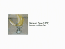 Banana Fan2002 What Why GIF - Banana Fan2002 What Why Di Why GIFs