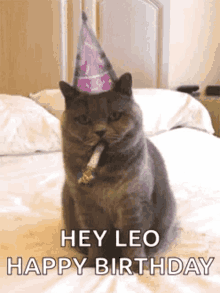 birthday happy