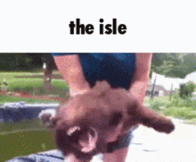 The Isle GIF - The Isle The Isle GIFs