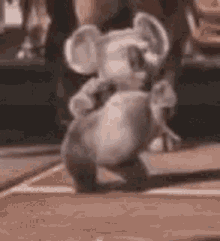 Dancing Koala GIF - Dancing Koala Butt GIFs