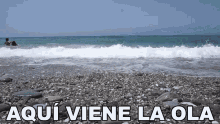 Aqui Viene La Ola Beach Day GIF - Aqui Viene La Ola Beach Day Waves GIFs
